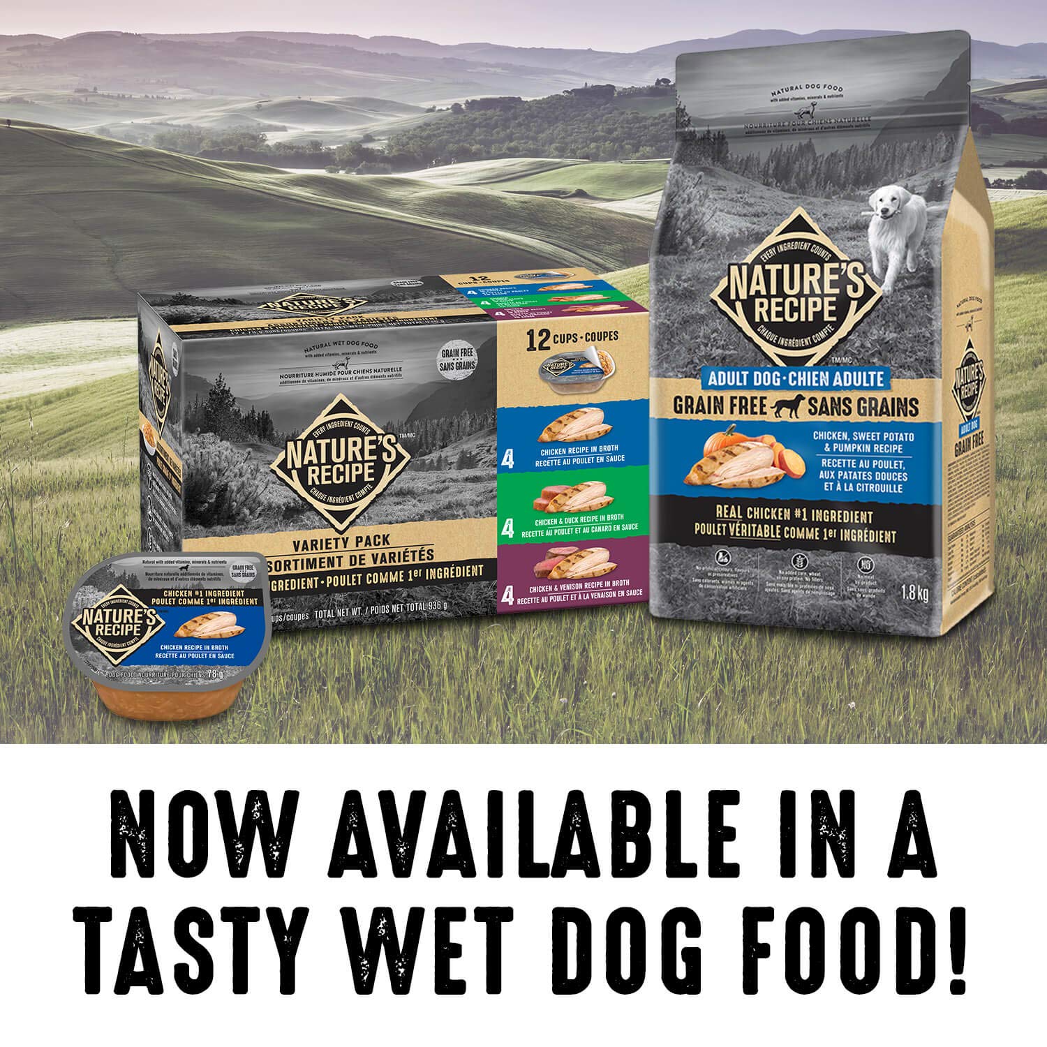 Nature's Recipe Grain Free Natural Dry Dog Food Chicken, Sweet Potato & Pumpkin Recipe 10.8 kg (Pack of 1) 🍁 All In One Marketplace Canada