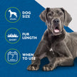 FURminator® Undercoat deShedding Tool For Large Dogs, Short Hair, Removes Loose Hair From Shedding 🍁 All In One Marketplace Canada