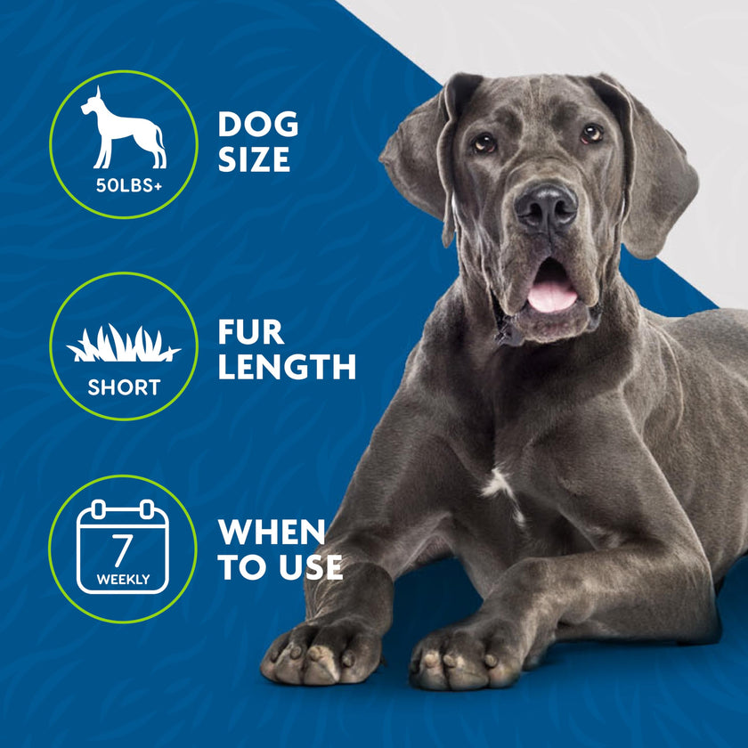 FURminator® Undercoat deShedding Tool For Large Dogs, Short Hair, Removes Loose Hair From Shedding 🍁 All In One Marketplace Canada
