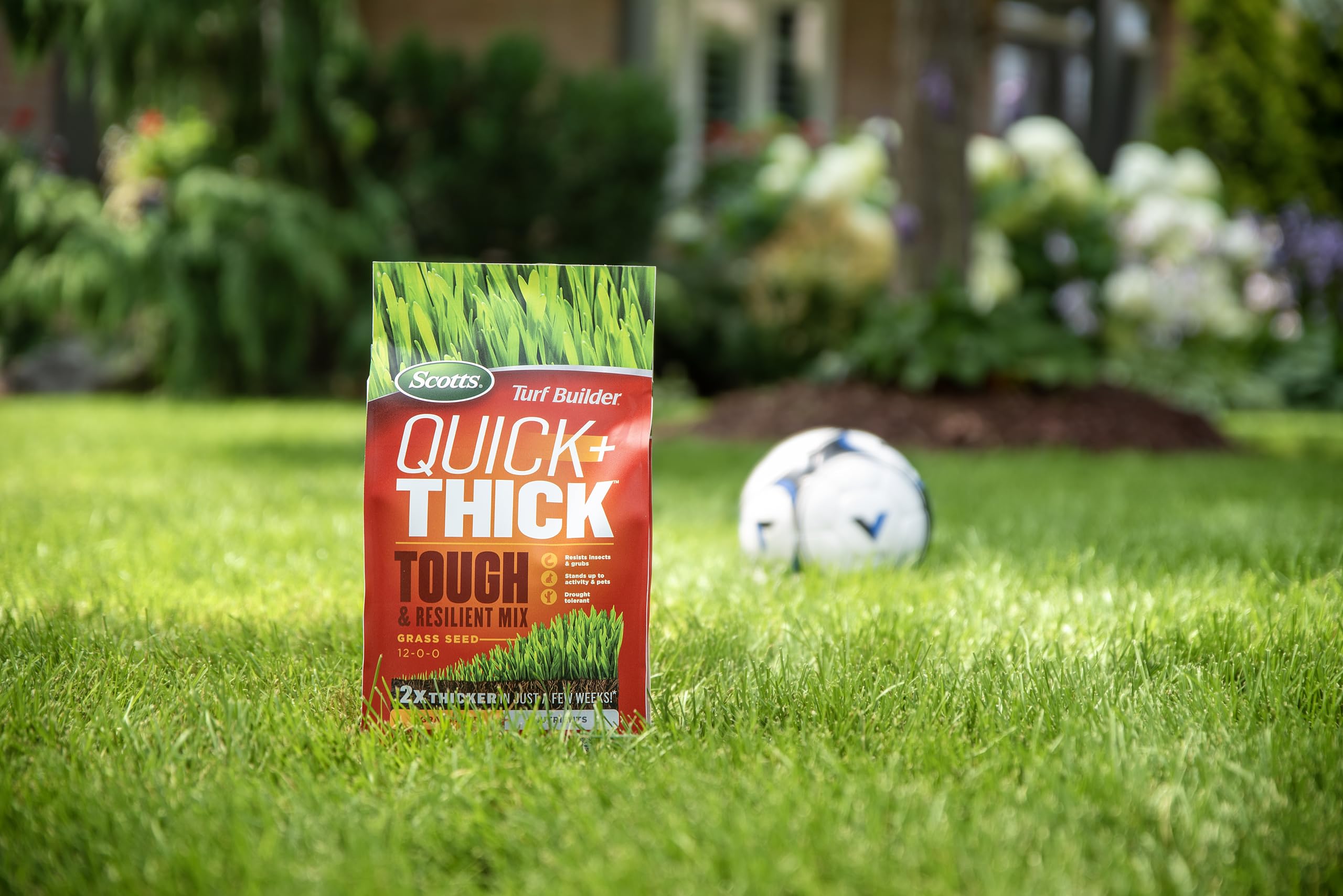 Scotts Turf Builder Quick + Thick Tough & Resilient Grass Seed Mix, 1.2kg (167 sq Meters / 1,805 sq feet Coverage) | Resilient Mix for Active Yards, Pets & Pests 🍁 All In One Marketplace Canada