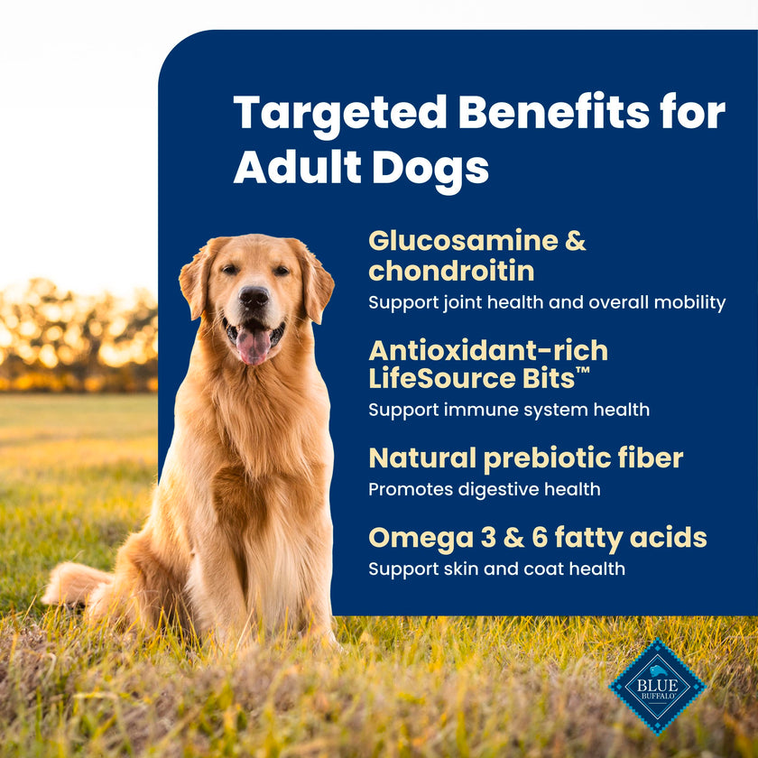 Blue Buffalo Life Protection Formula Lamb & Brown Rice Adult Dry Dog Food, Supports Immunity with Antioxidant-Rich LifeSource Bits, Promotes Healthy Muscle Development, 11.7kg/26 lbs 🍁 All In One Marketplace Canada
