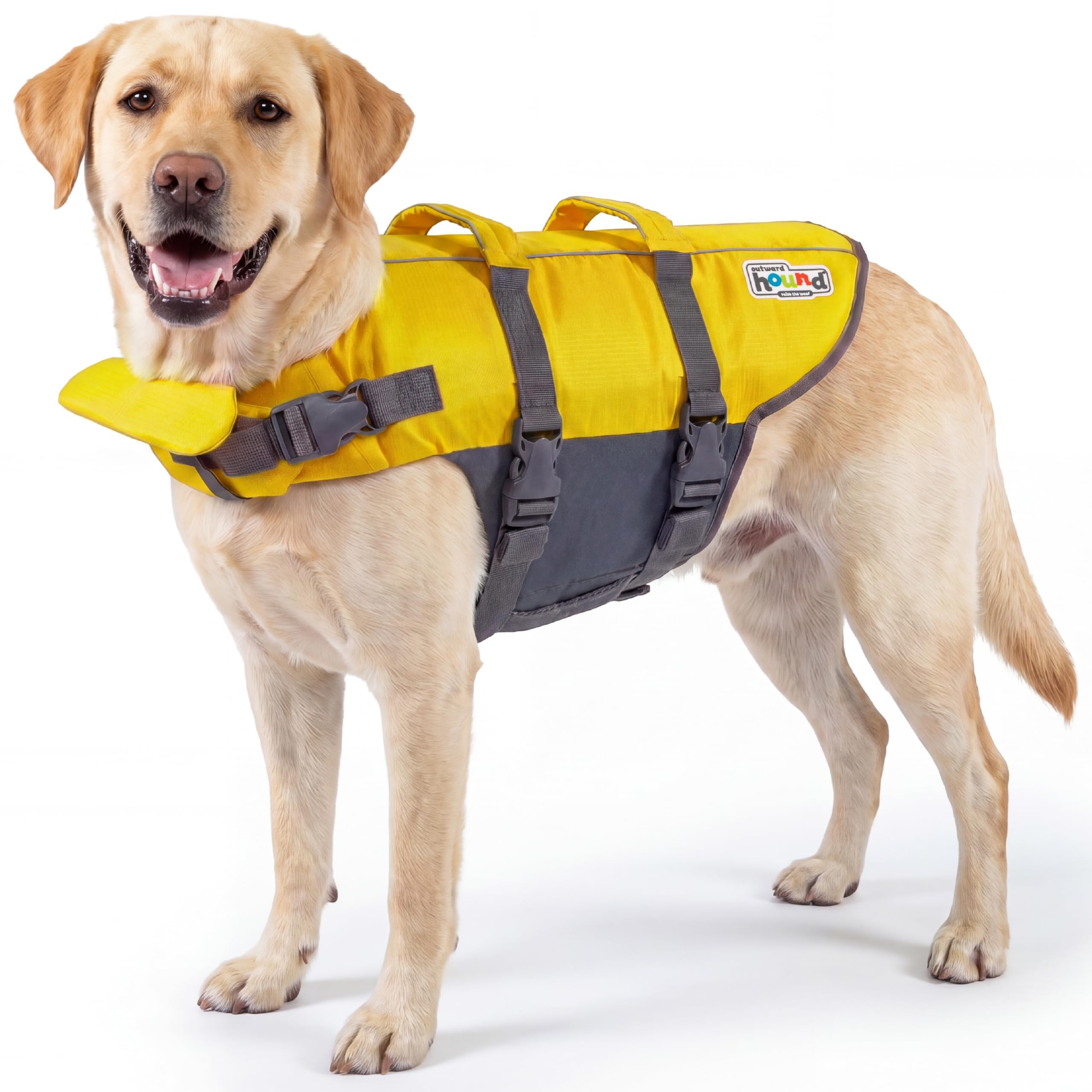 Outward Hound Granby Splash Dog Life Jacket with Handle, Reflective Floating Vest for Swimming & Boating, Maximum Buoyancy, All Skill Levels, Large Dogs (28–32