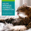 Vetoquinol Hairball-EZ – Veterinary Health Product – Helps Minimize Hairballs in Cats (Tuna) 🍁 All In One Marketplace Canada