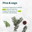 ATTITUDE Limited Edition Liquid Hand Soap, EWG Verified, Plant and Mineral-Based, Vegan Personal Care Products, Pine & Sage, 473 mL (Pack of 3) 🍁 All In One Marketplace Canada
