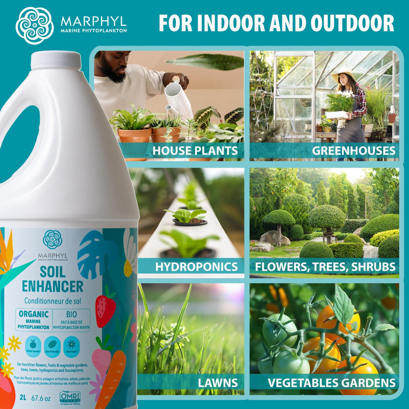 MARPHYL All-Purpose Plant Food – Organic Nutrient-Rich Fertilizer & Soil Enhancer for Indoor & Outdoor Flowers, Vegetables, Succulents, Bamboo & Hydroponics 🍁 All In One Marketplace Canada
