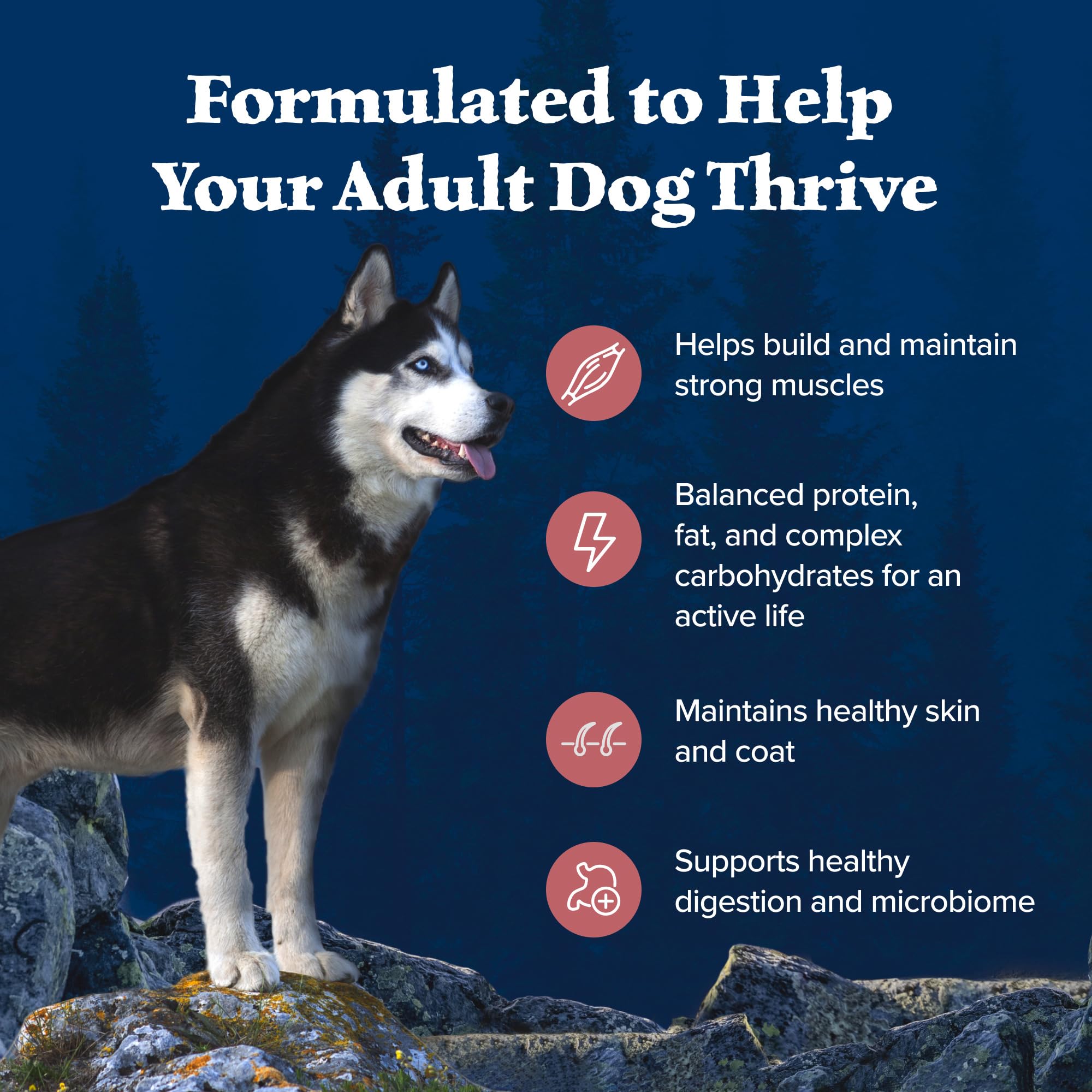 Blue Buffalo Wilderness with Salmon High Protein Grain Free Dry Dog Food for Adult Dogs, 34% Protein, Supports Immunity with Antioxidant-Rich LifeSource Bits 10.8 Kg/24lbs Bag 🍁 All In One Marketplace Canada