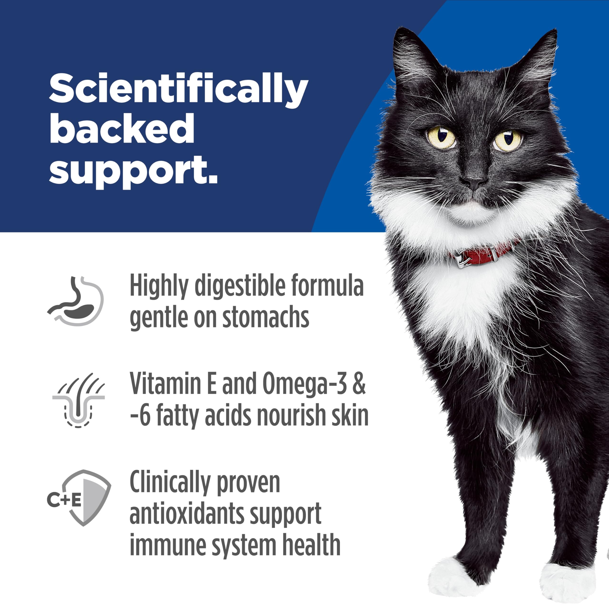 Hill's Science Diet Sensitive Stomach & Skin, Adult 1-6, Stomach & Skin Sensitivity Support, Dry Cat Food, Grain Free Salmon & Yellow Peas, 13 lb Bag 🍁 All In One Marketplace Canada