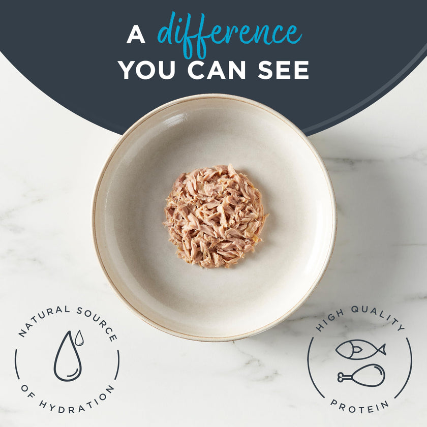 Reveal Natural Wet Cat Food in Broth, Limited Ingredient Grain Free Canned Cat Food, Protein with No Artificial Additives, Fish Variety in Broth (12 x 2.47 oz Cans) 🍁 All In One Marketplace Canada