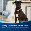 BISSELL Professional Pet Spot and Stain Plus OXY Formula for Portable Carpet Cleaners, 32oz, Removes Pet Urine Vomit and Odours, Car Detailer Solution, Little Green and SpotClean Compatible, 2034C 🍁 All In One Marketplace Canada