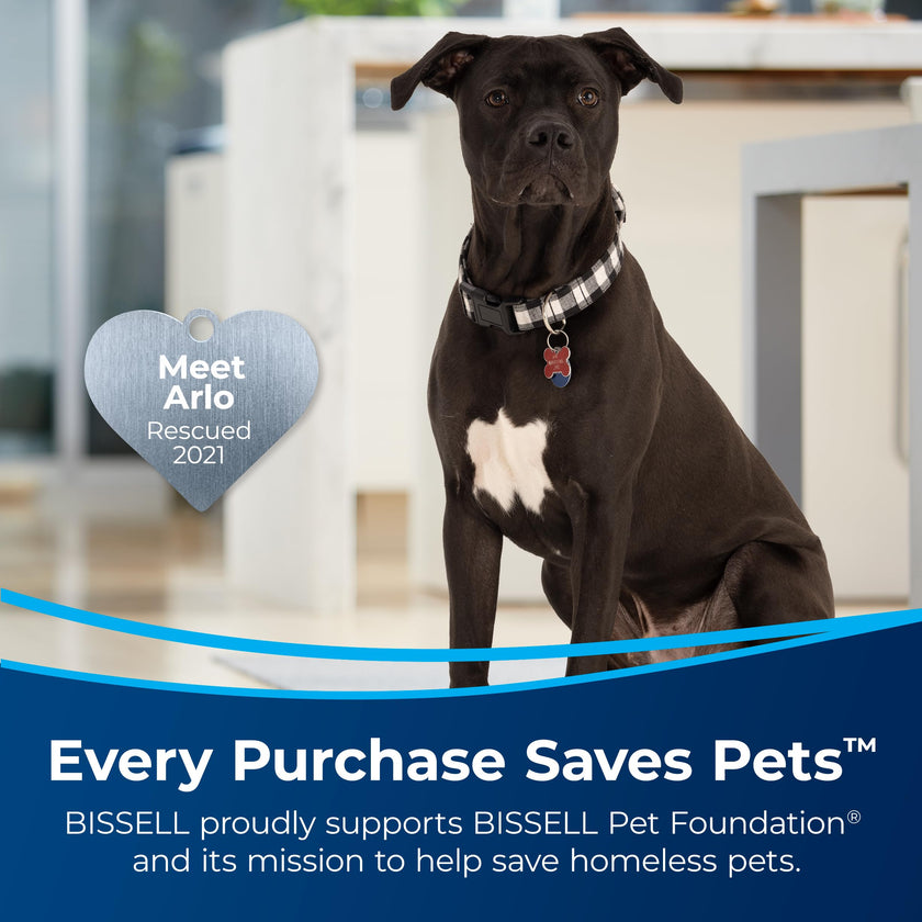 BISSELL Professional Pet Spot and Stain Plus OXY Formula for Portable Carpet Cleaners, 32oz, Removes Pet Urine Vomit and Odours, Car Detailer Solution, Little Green and SpotClean Compatible, 2034C 🍁 All In One Marketplace Canada