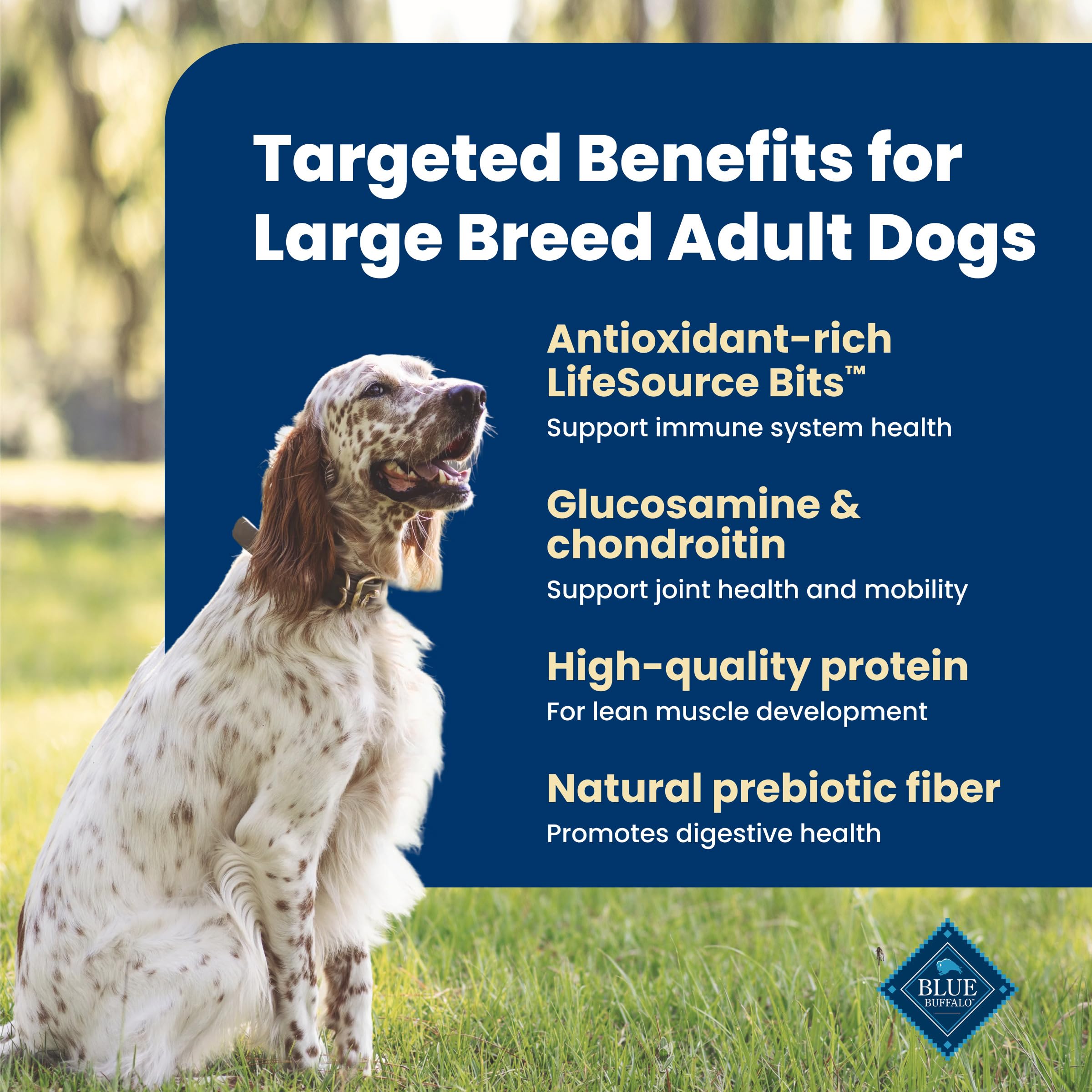Blue Buffalo Life Protection Formula Large Breed Adult Dry Dog Food, Promotes Joint Health and Lean Muscles, Made with Natural Ingredients, Chicken & Brown Rice Recipe,11.7kg/26 lbs 🍁 All In One Marketplace Canada