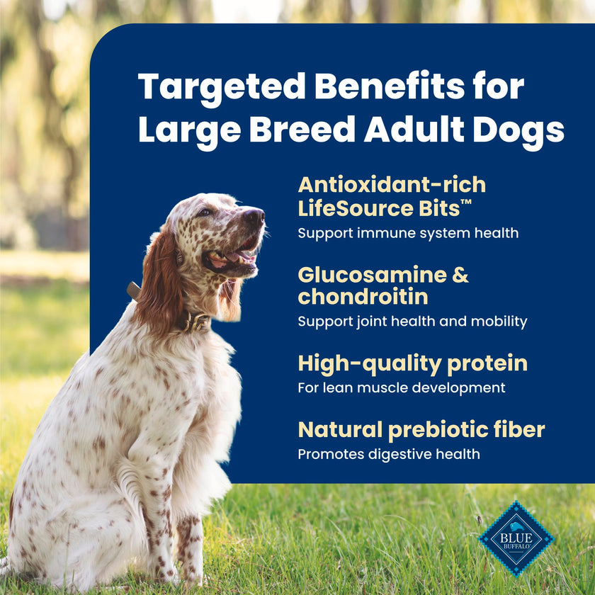 Blue Buffalo Life Protection Formula Large Breed Adult Dry Dog Food, Promotes Joint Health and Lean Muscles, Made with Natural Ingredients, Chicken & Brown Rice Recipe,11.7kg/26 lbs 🍁 All In One Marketplace Canada