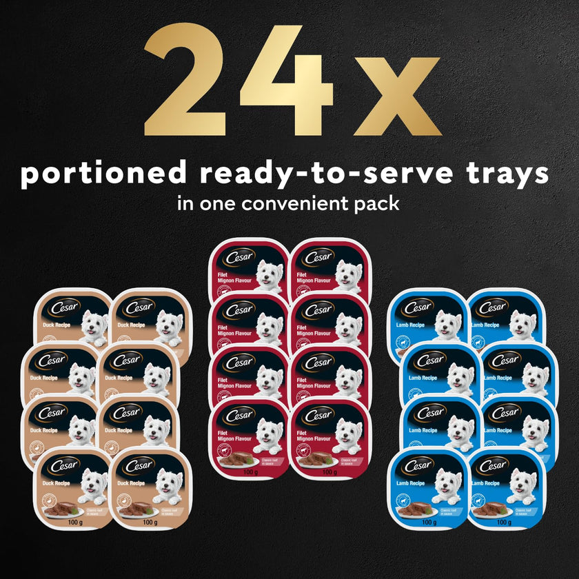 CESAR Classic Loaf in Sauce Adult Wet Dog Food Delicacies Variety Pack, 24x100g Trays 🍁 All In One Marketplace Canada