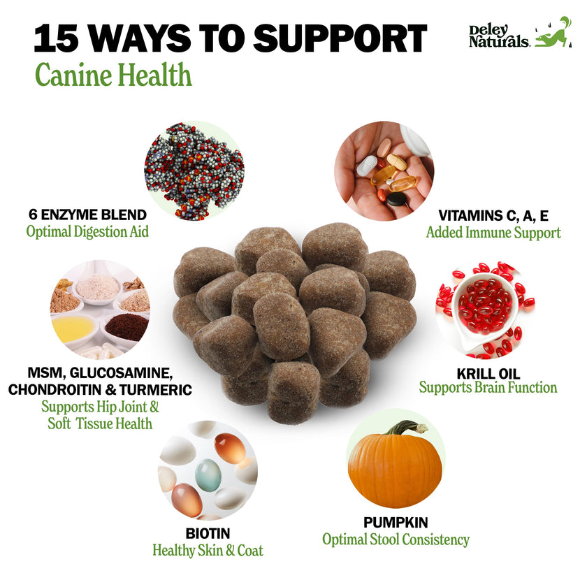 Deley Naturals Dog Multivitamins Chewable - 15 in 1 Dog Vitamins and Supplements for Immune System, Skin, Joint Support & Digestion - Multivitamin with MSM, Glucosamine & Chondroitin for All Ages 🍁 All In One Marketplace Canada