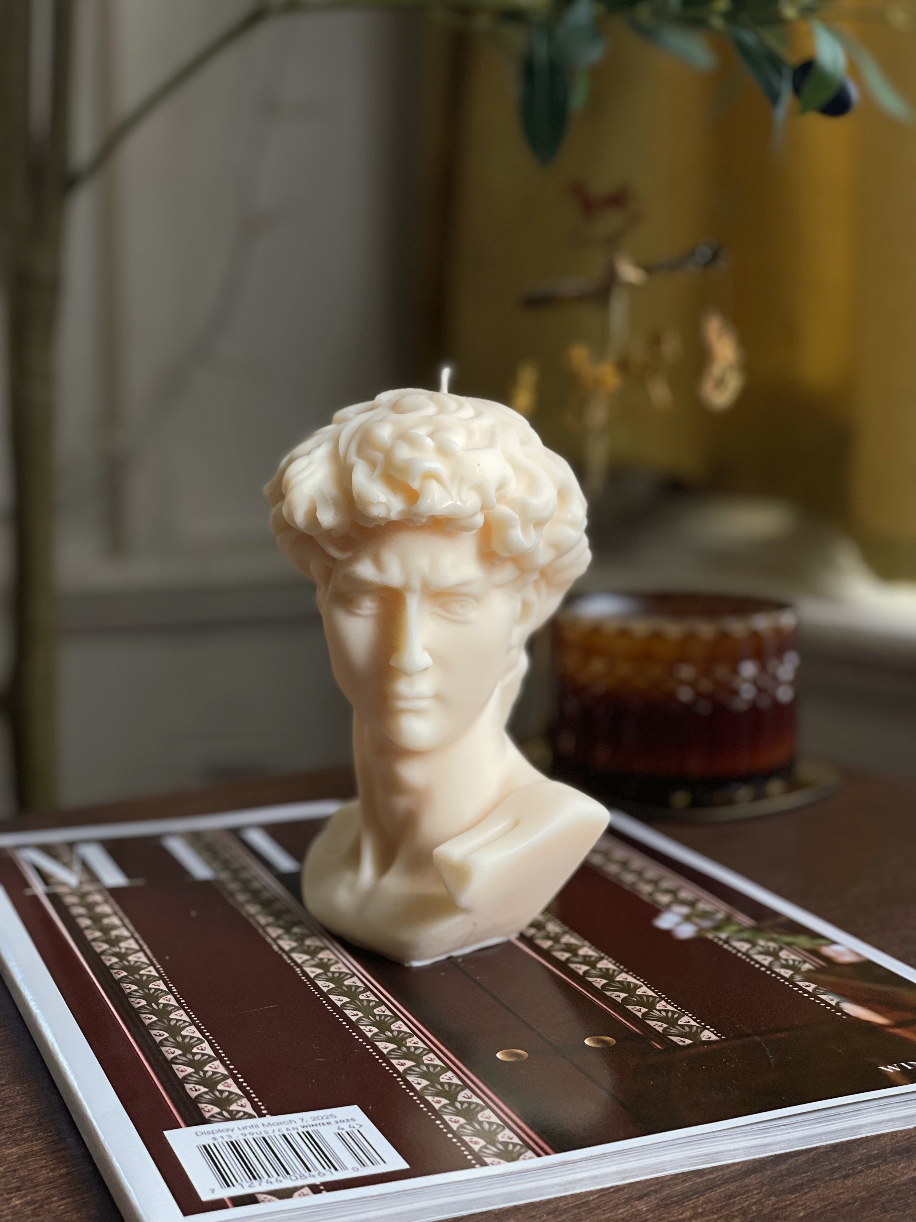 David Bust