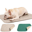 Bamboo Charcoal Fibre Pet Training Pad – Deodorant, Moisture-Proof Dog Pad | Beige & Green | S/M/L