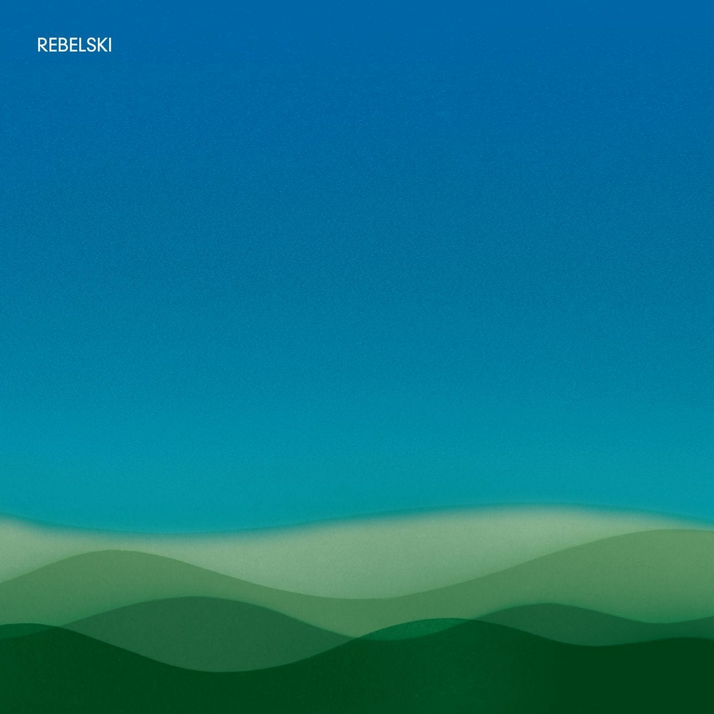Rebelski / Thanks for Your Thoughts - CD
