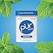 PUR Gum - Peppermint (55pc)