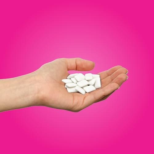 PUR Gum - Pomegranate Mint (55pc)