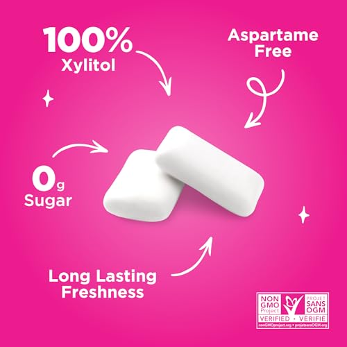 PUR Gum - Pomegranate Mint (55pc)