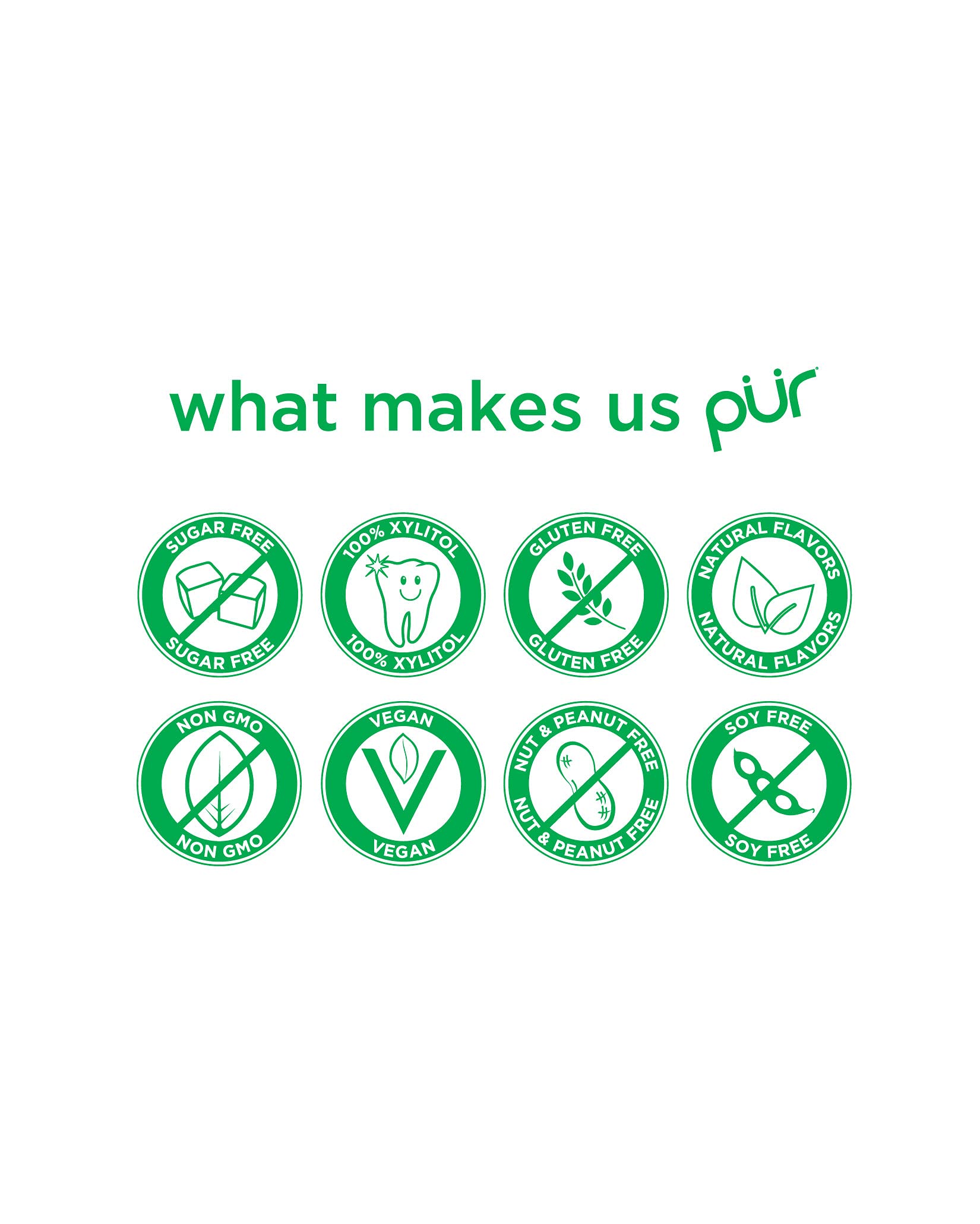 PUR Gum - Spearmint Gum (55pc)