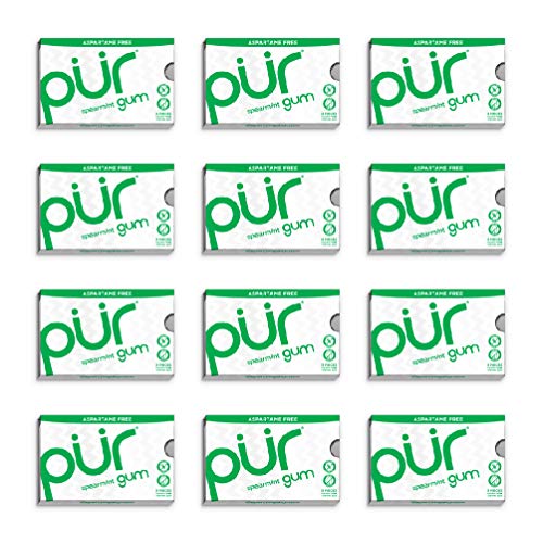 PUR Gum - Spearmint Gum (55pc)