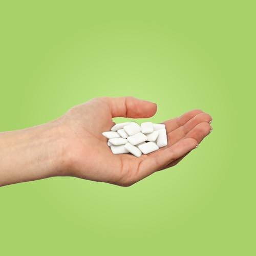 PUR Gum - Coolmint (55pc)