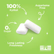 PUR Gum - Coolmint (55pc)