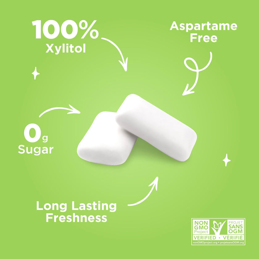 PUR Gum - Coolmint (55pc)