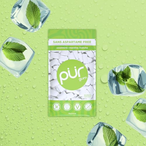 PUR Gum - Coolmint (55pc)