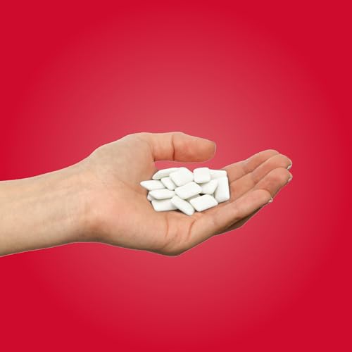 PUR Gum - Cinnamon (55pc)