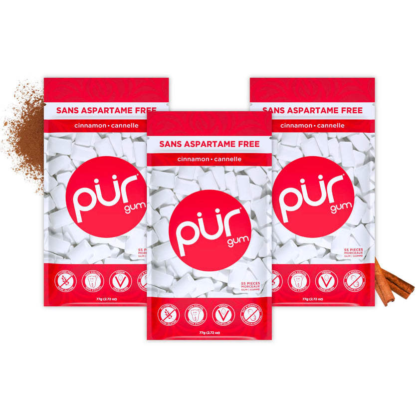 PUR Gum - Cinnamon (55pc)
