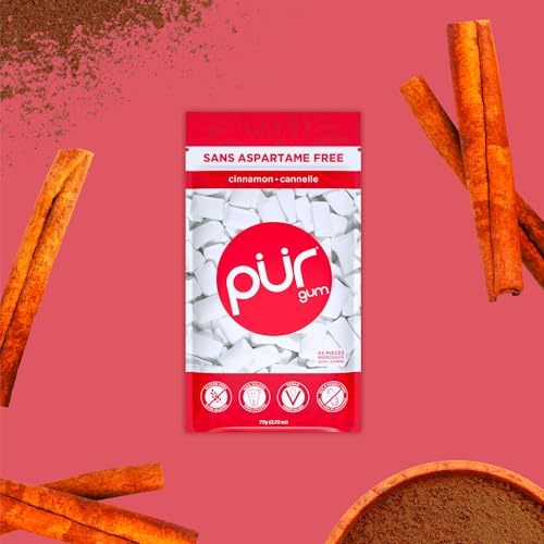PUR Gum - Cinnamon (55pc)