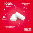 PUR Gum - Cinnamon (55pc)
