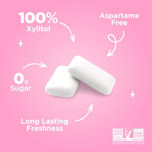 PUR Gum - Bubblegum (55pc)