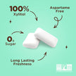PUR Gum - Chocolate Mint (55pc)