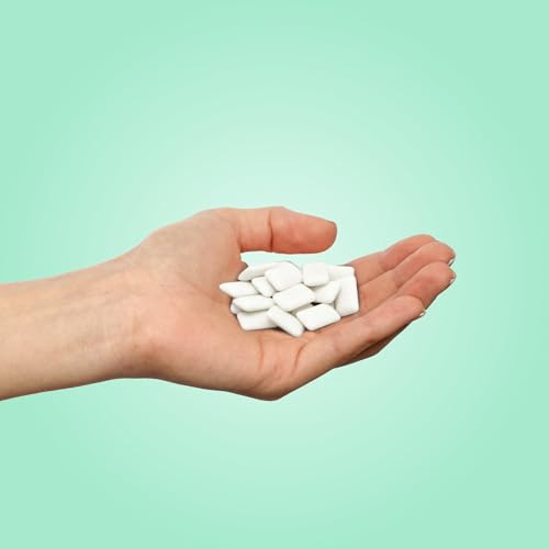 PUR Gum - Chocolate Mint (55pc)