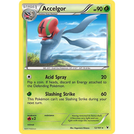 Accelgor (12/101) (NVI)