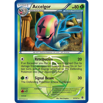 Accelgor (Team Plasma) (8/101) (PLB)