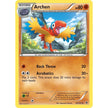 Archen (66/101) (NVI)