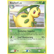 Bayleef (41/123) (MT)
