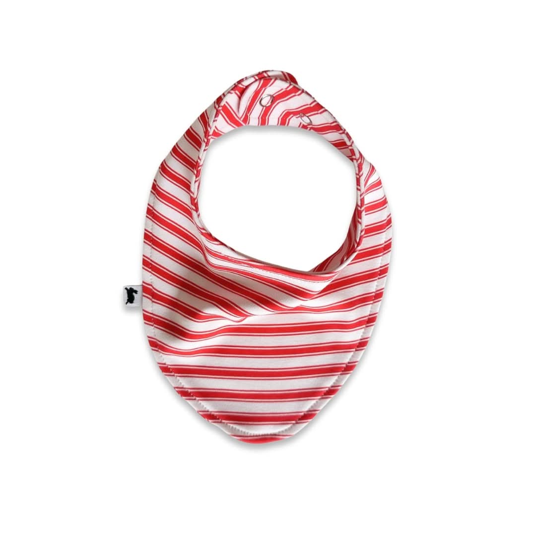 Bamboo Baby Bib | Market Veggies