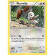 Bunnelby (111/146) (XY)