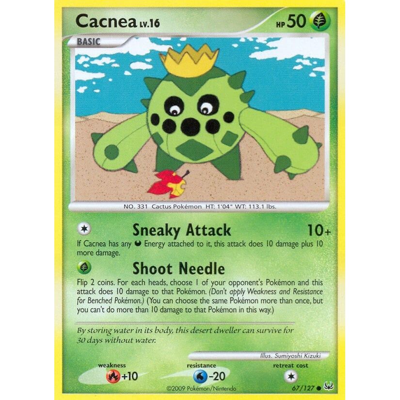 Cacnea (67/127) (PL)
