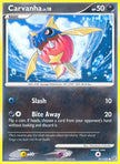 Carvanha/132 - Secret Wonders Reverse Holofoil