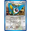 Chatot (Team Plasma) (77/101) (PLB)