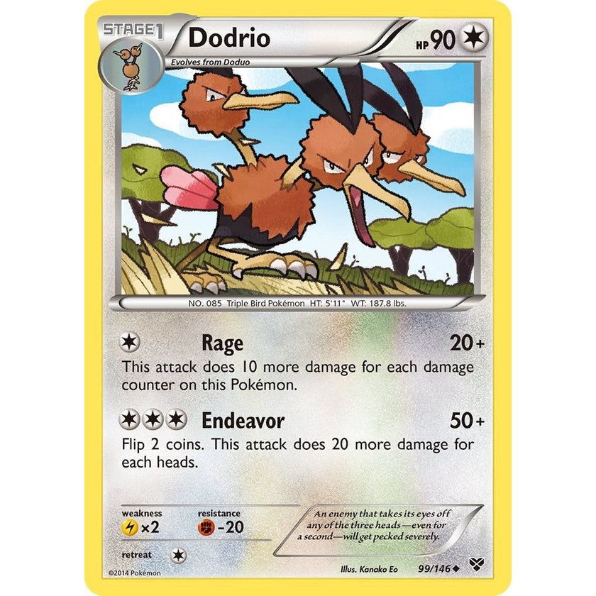 Dodrio (99/146) (XY)