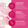 Andalou Naturals - 1000 ROSES LIP SLEEPING MASK (11.9g)