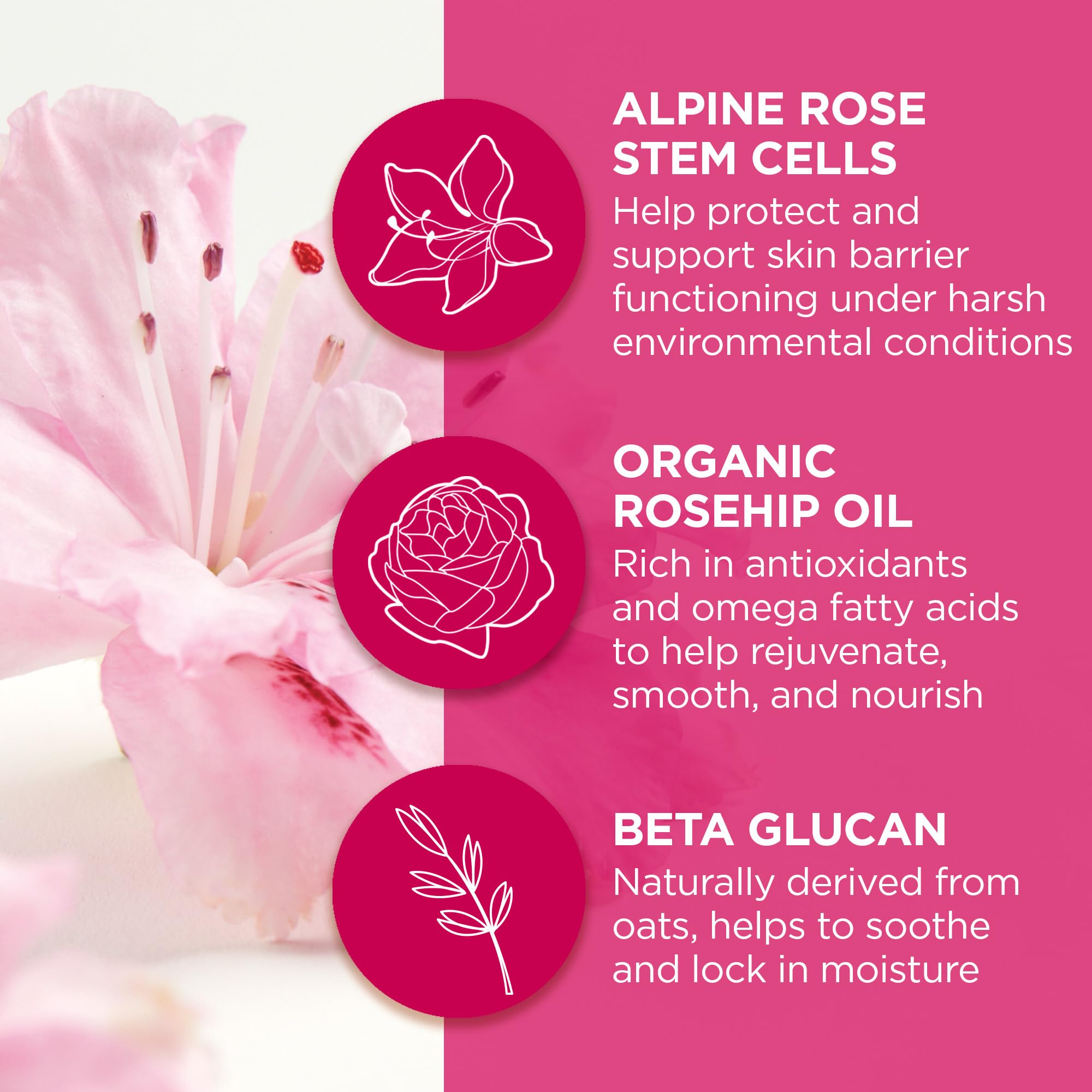 Andalou Naturals - 1000 ROSES LIP SLEEPING MASK (11.9g)