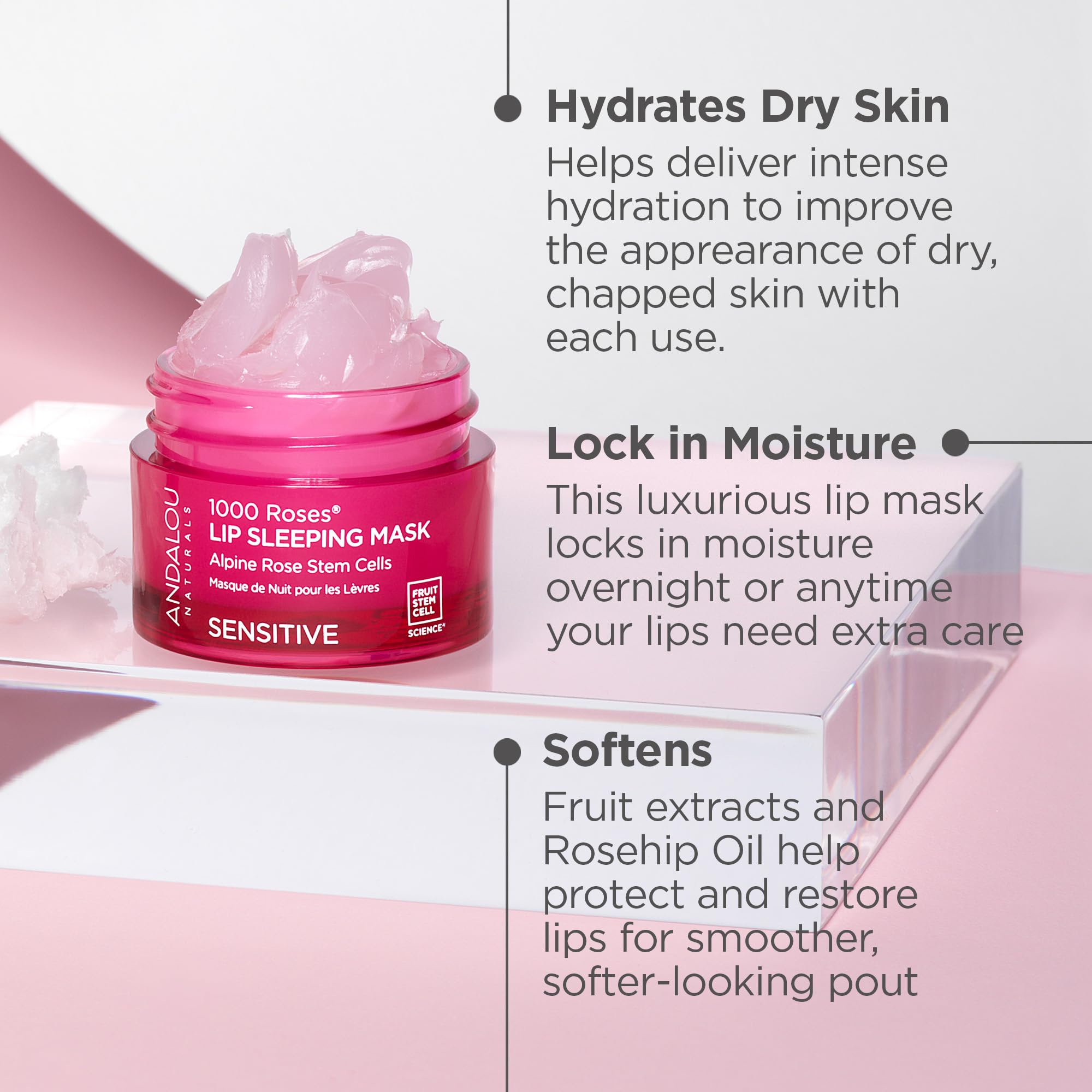 Andalou Naturals - 1000 ROSES LIP SLEEPING MASK (11.9g)